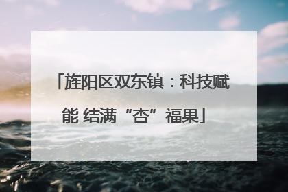 旌阳区双东镇：科技赋能 结满“杏”福果