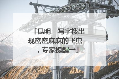昆明一写字楼出现密密麻麻的飞虫，专家提醒→