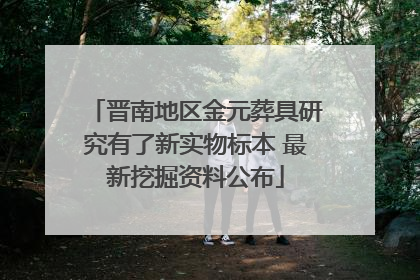 晋南地区金元葬具研究有了新实物标本 最新挖掘资料公布