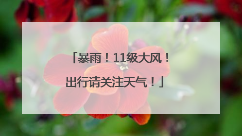 暴雨！11级大风！出行请关注天气！