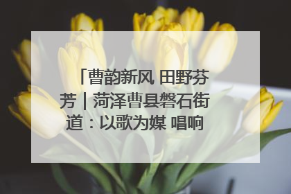 曹韵新风 田野芬芳｜菏泽曹县磐石街道：以歌为媒 唱响乡土“新歌声”