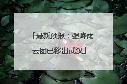 最新预报：强降雨云团已移出武汉
