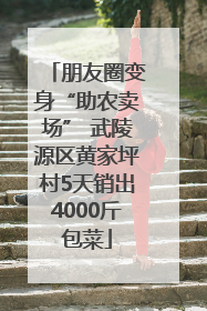 朋友圈变身“助农卖场” 武陵源区黄家坪村5天销出4000斤包菜