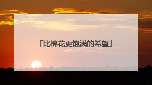 比棉花更饱满的希望