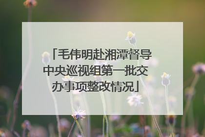 毛伟明赴湘潭督导中央巡视组第一批交办事项整改情况