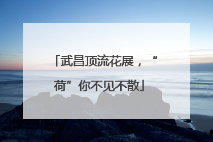 武昌顶流花展，“荷”你不见不散