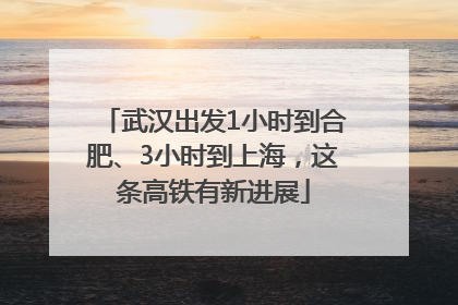 武汉出发1小时到合肥、3小时到上海，这条高铁有新进展
