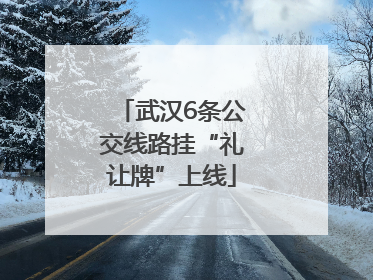 武汉6条公交线路挂“礼让牌”上线
