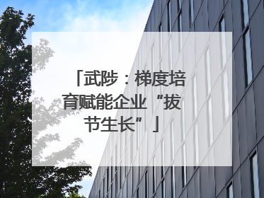 武陟：梯度培育赋能企业“拔节生长”