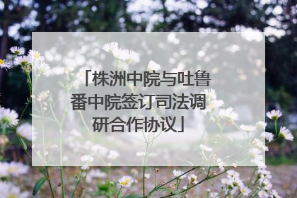 株洲中院与吐鲁番中院签订司法调研合作协议