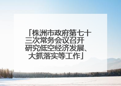 株洲市政府第七十三次常务会议召开 研究低空经济发展、大抓落实等工作