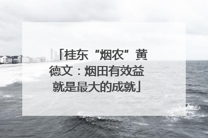 桂东“烟农”黄德文：烟田有效益就是最大的成就