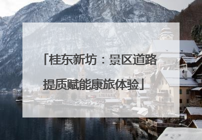 桂东新坊：景区道路提质赋能康旅体验