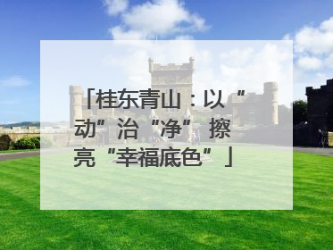 桂东青山：以“动”治“净” 擦亮“幸福底色”