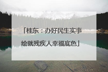 桂东：办好民生实事 绘就残疾人幸福底色