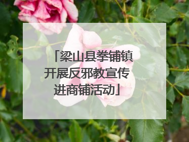 梁山县拳铺镇开展反邪教宣传进商铺活动