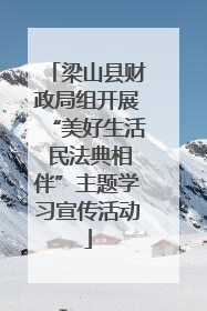 梁山县财政局组开展“美好生活 民法典相伴”主题学习宣传活动