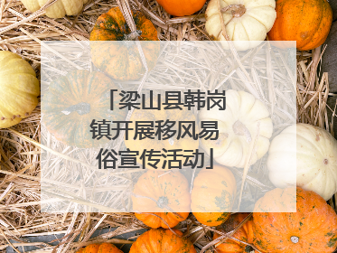 梁山县韩岗镇开展移风易俗宣传活动