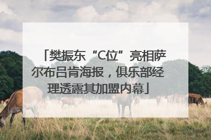 樊振东“C位”亮相萨尔布吕肯海报，俱乐部经理透露其加盟内幕