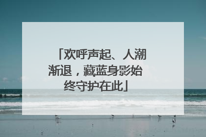 欢呼声起、人潮渐退，藏蓝身影始终守护在此