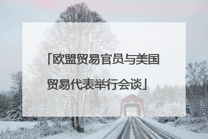 欧盟贸易官员与美国贸易代表举行会谈