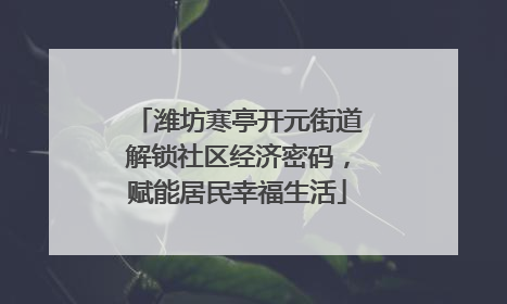 潍坊寒亭开元街道解锁社区经济密码，赋能居民幸福生活