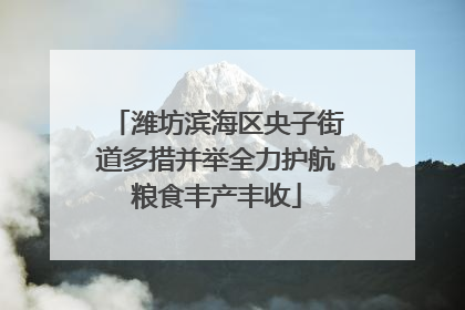 潍坊滨海区央子街道多措并举全力护航粮食丰产丰收