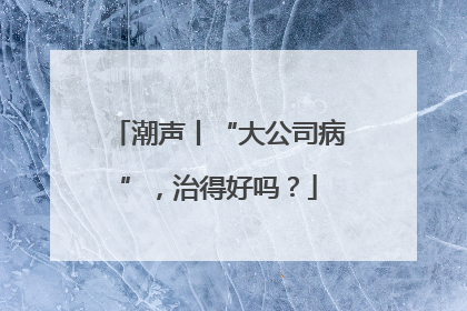 潮声丨“大公司病”，治得好吗？