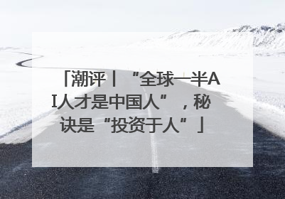 潮评丨“全球一半AI人才是中国人”，秘诀是“投资于人”
