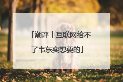 潮评丨互联网给不了韦东奕想要的