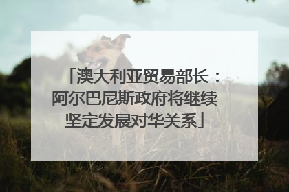 澳大利亚贸易部长：阿尔巴尼斯政府将继续坚定发展对华关系