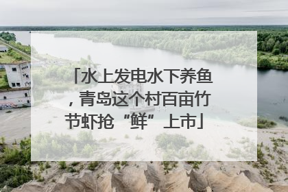 水上发电水下养鱼，青岛这个村百亩竹节虾抢“鲜”上市