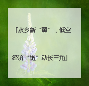 水乡新“翼”，低空经济“链”动长三角