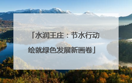 水润王庄：节水行动绘就绿色发展新画卷