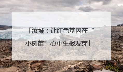 汝城：让红色基因在“小树苗”心中生根发芽