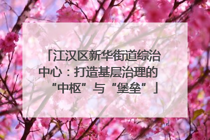江汉区新华街道综治中心：打造基层治理的“中枢”与“堡垒”