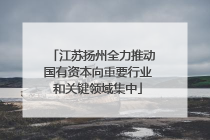 江苏扬州全力推动国有资本向重要行业和关键领域集中