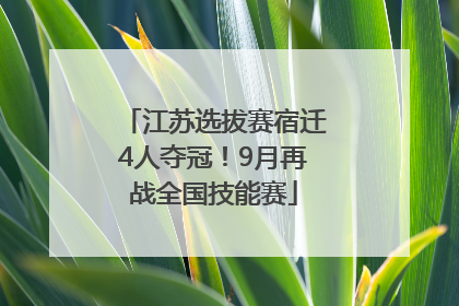 江苏选拔赛宿迁4人夺冠！9月再战全国技能赛