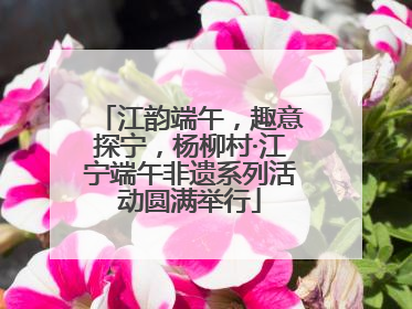 江韵端午，趣意探宁，杨柳村·江宁端午非遗系列活动圆满举行