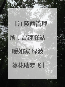 江陵西管理所：高速驿站暖如家 绿波葵花助梦飞