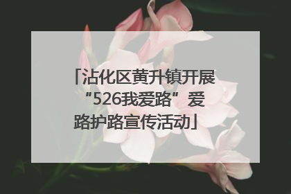 沾化区黄升镇开展“526我爱路”爱路护路宣传活动