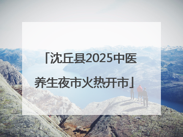 沈丘县2025中医养生夜市火热开市