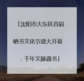 沈阳市大东区首届晒书文化节盛大开幕：千年文脉遇书