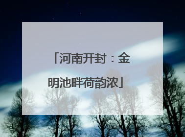 河南开封：金明池畔荷韵浓