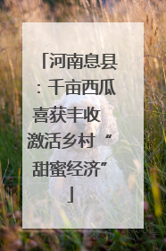 河南息县：千亩西瓜喜获丰收 激活乡村“甜蜜经济”
