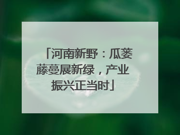 河南新野：瓜蒌藤蔓展新绿，产业振兴正当时