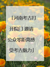 河南考古打开院门 邀请公众零距离感受考古魅力