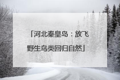 河北秦皇岛：放飞野生鸟类回归自然