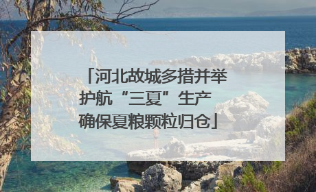 河北故城多措并举护航“三夏”生产 确保夏粮颗粒归仓