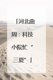 河北曲周：科技小院忙“三夏”